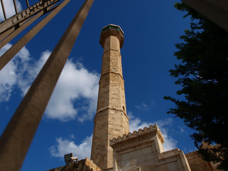 Израиль 01.2012