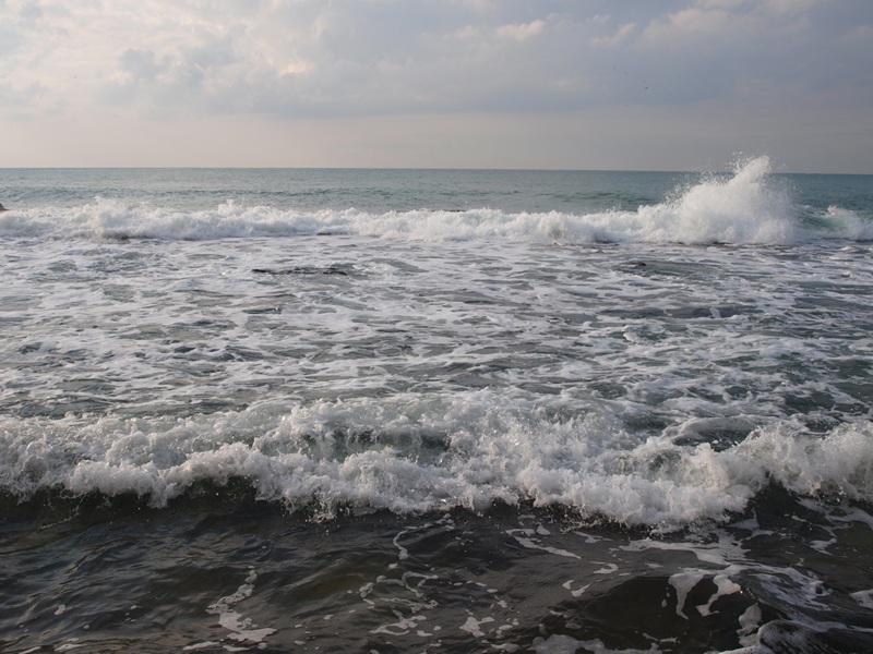 Израиль 01.2012