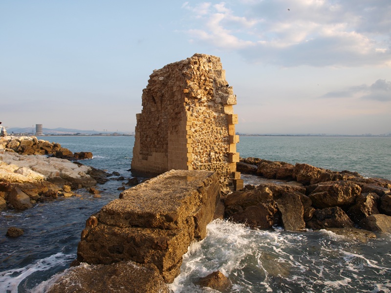 Израиль 01.2012