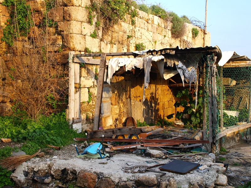 Израиль 01.2012