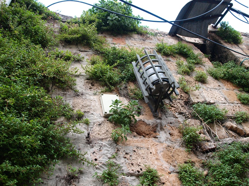 Израиль 01.2012