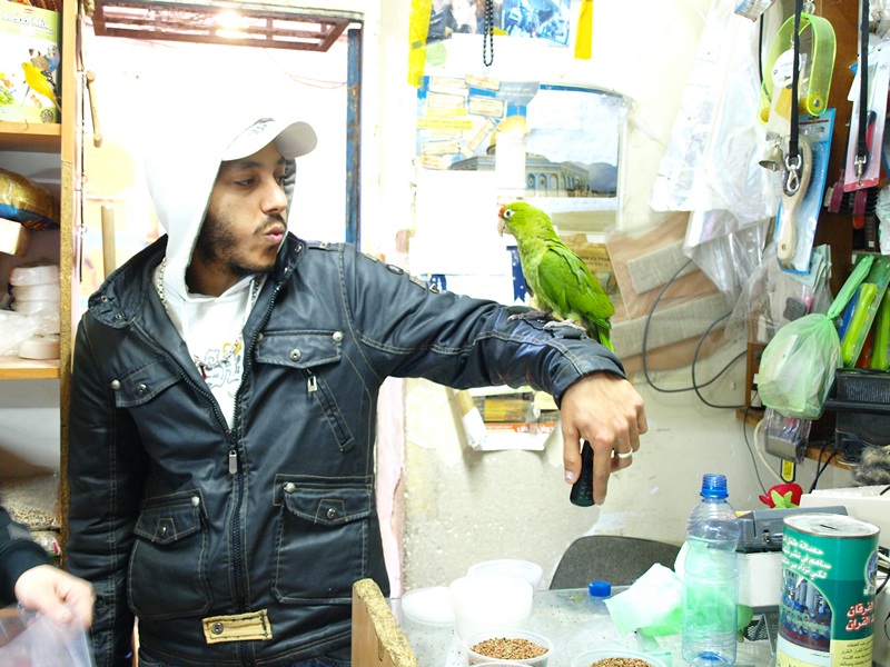 Израиль 01.2012