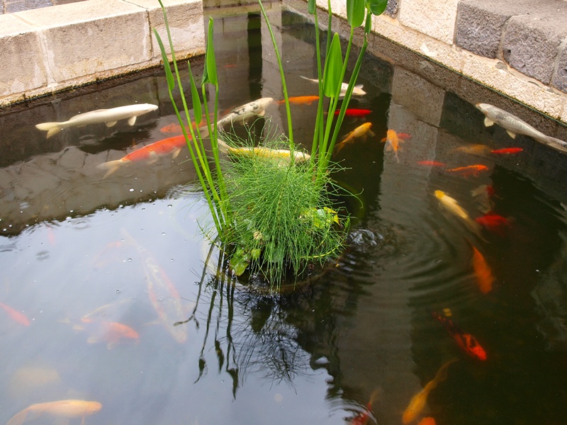 Израиль 01.2012