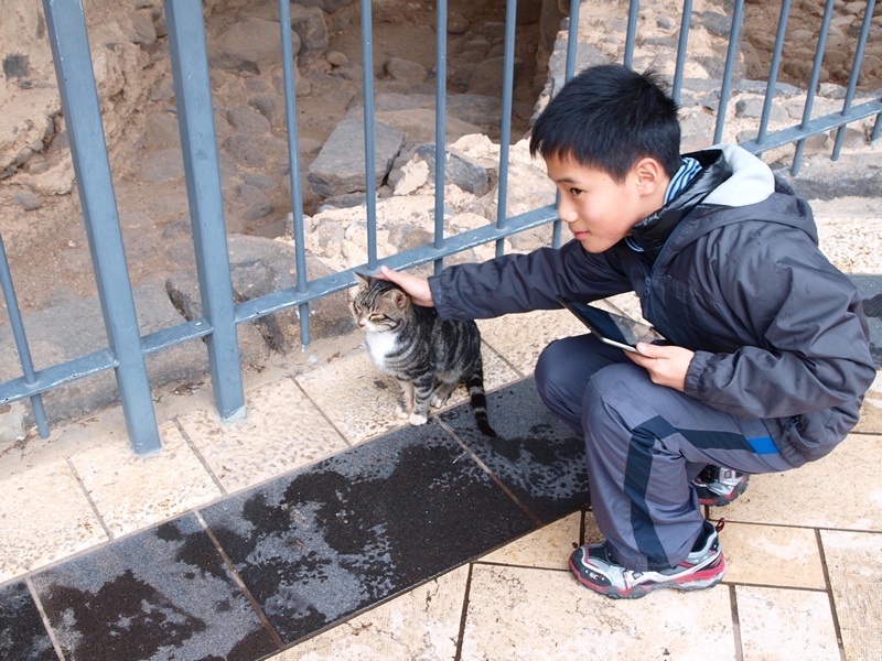 Израиль 01.2012