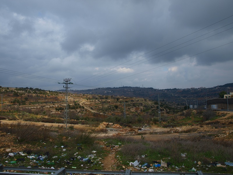 Израиль 01.2012