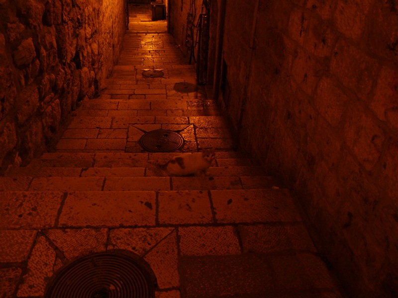 Израиль 01.2012