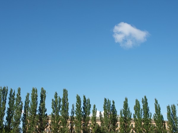 Главный Ботанический Сад РАН 4.06.2011