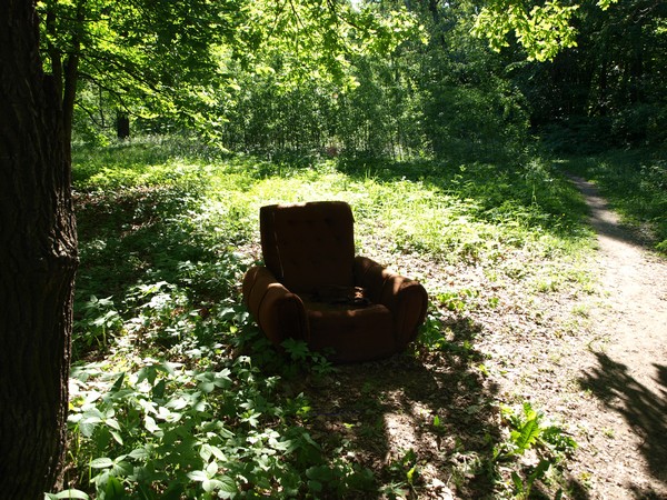 Главный Ботанический Сад РАН 4.06.2011