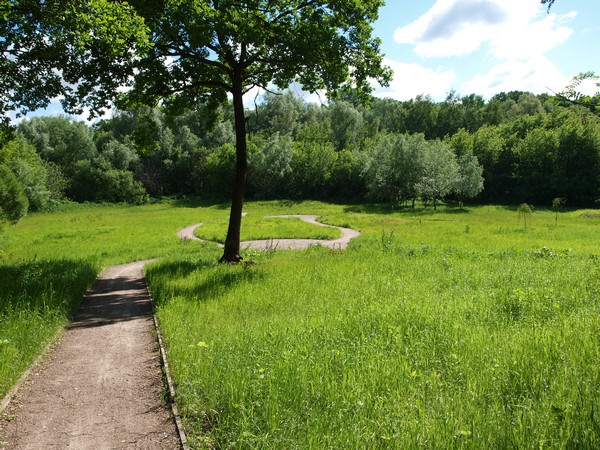 Главный Ботанический Сад РАН 4.06.2011