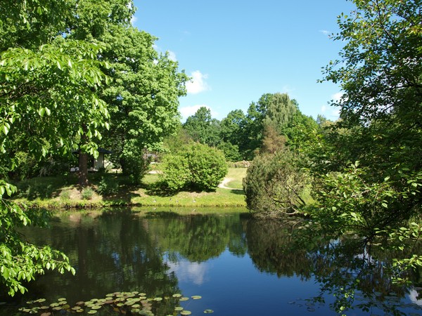 Главный Ботанический Сад РАН 4.06.2011