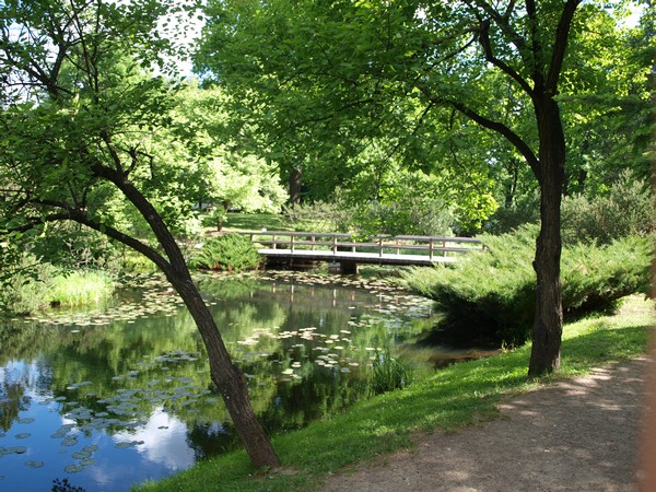 Главный Ботанический Сад РАН 4.06.2011