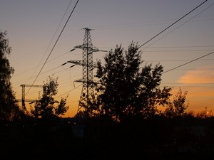 Ботанический Сад. Деревья недалеко от Сада Непрерывного Цветения