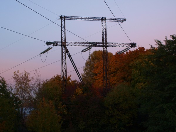 Ботанический Сад. Линии ЛЭП недалеко от Владыкино