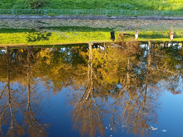 Коломенское. Кислота.