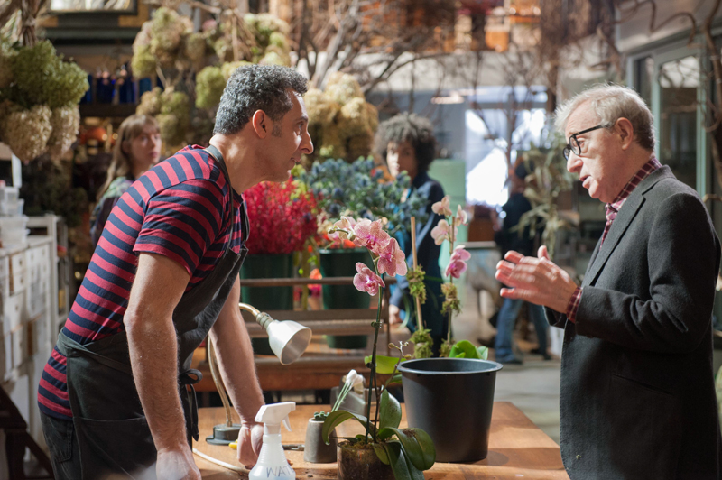 Под маской жиголо Fading Gigolo Вуди Аллен Туртурро 2013